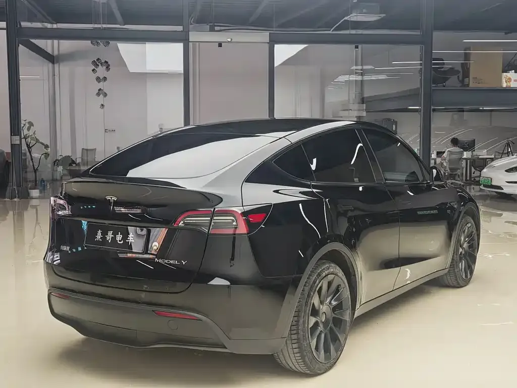 Tesla Model Y — фото 10