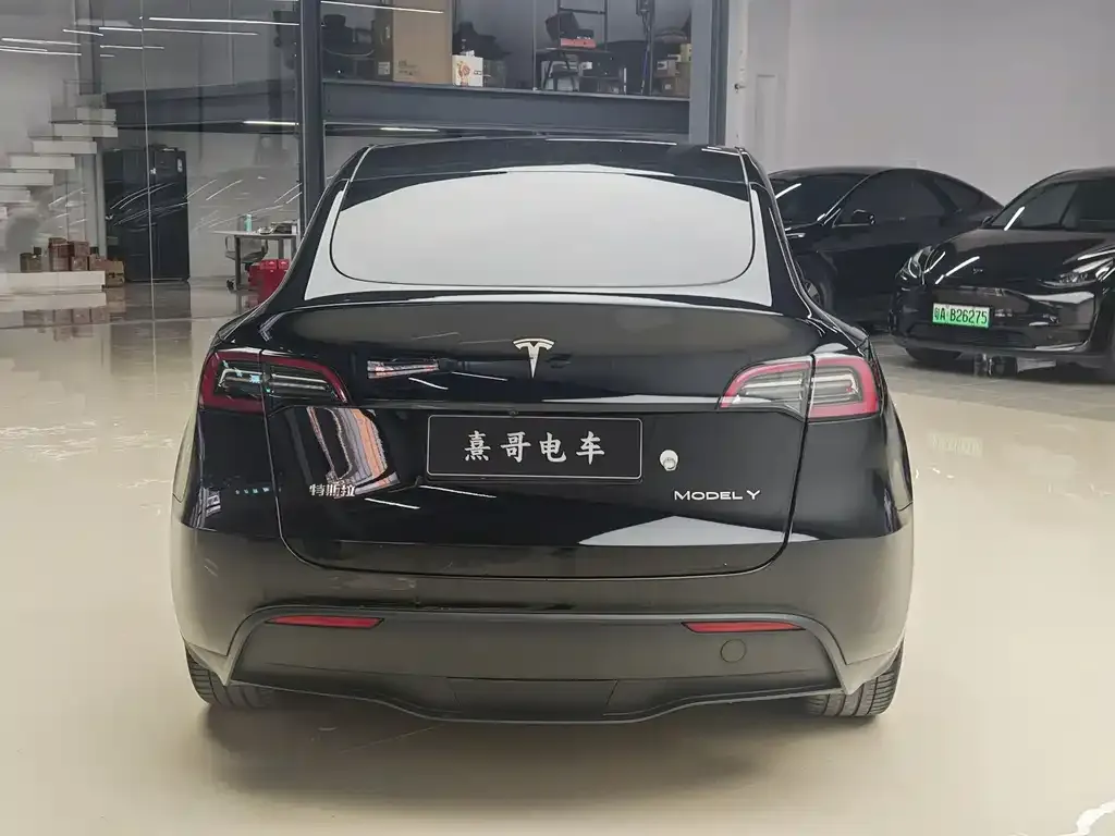 Tesla Model Y — фото 7