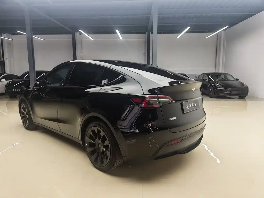 Tesla Model Y — фото 6