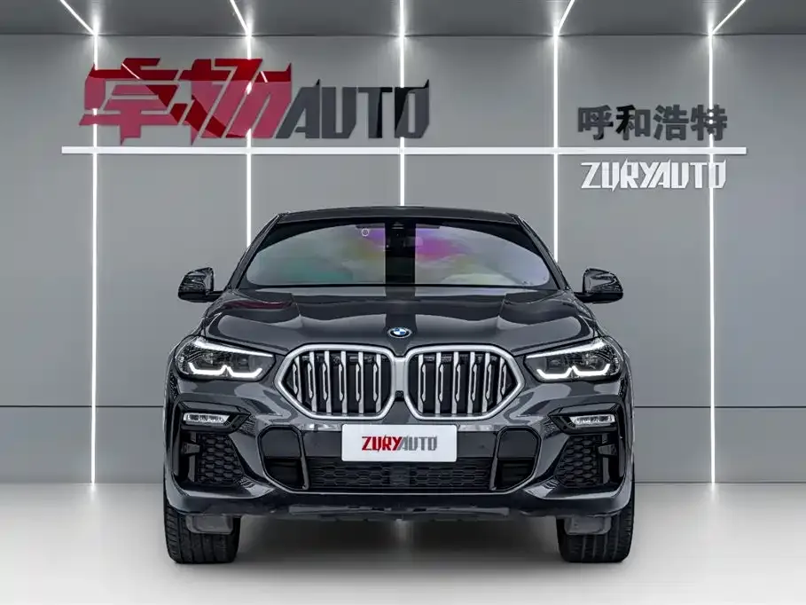 BMW X6 2021 из CN, фото 4