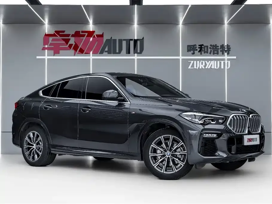 BMW X6 2021 из CN, фото 5