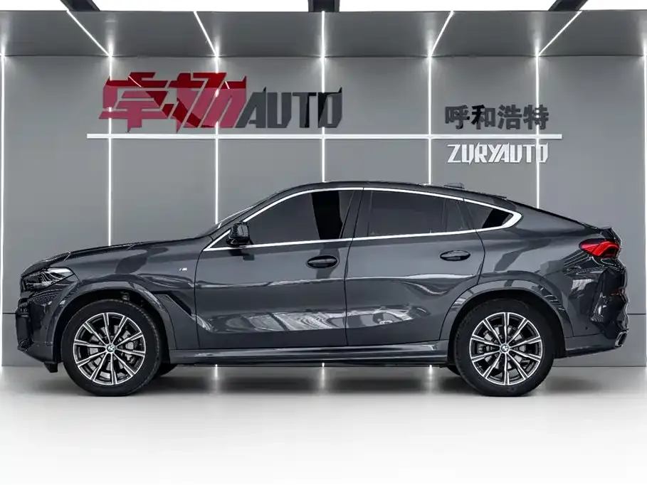 BMW X6 2021 из CN, фото 8