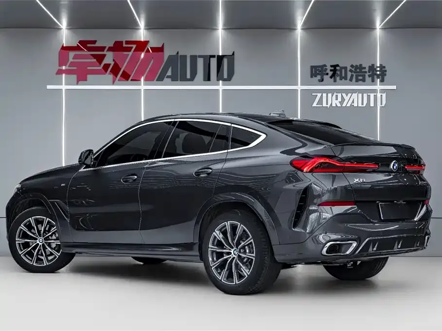 BMW X6 2021 из CN, фото 10