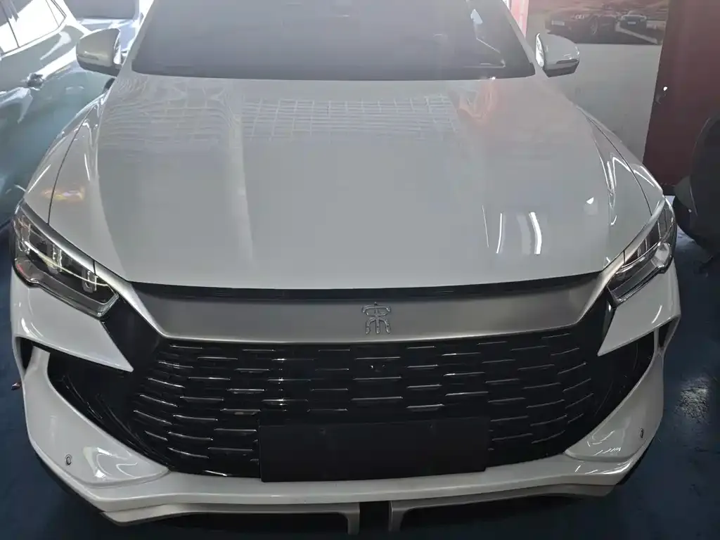 BYD Pro New Energy — фото 2