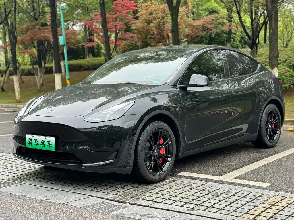 Tesla Model Y 2023 из CN, фото 1