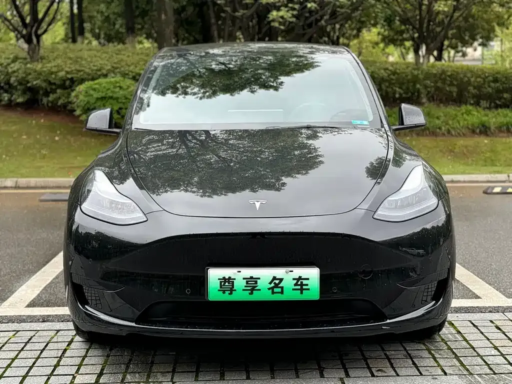 Tesla Model Y 2023 из CN, фото 2