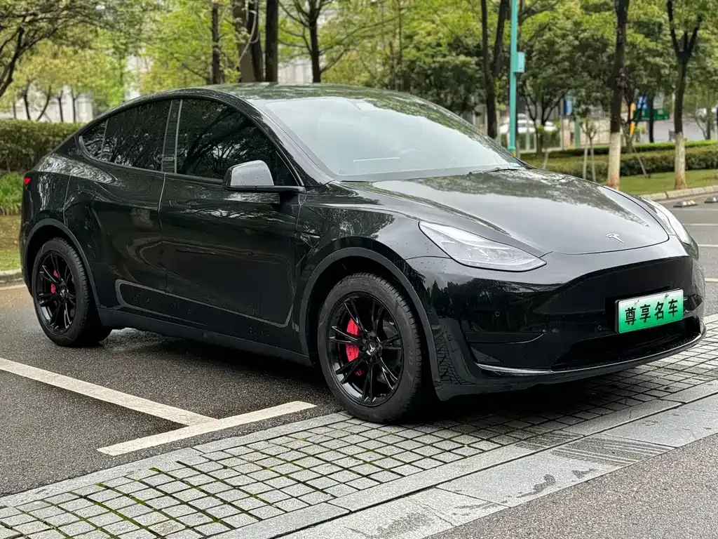 Tesla Model Y 2023 из CN, фото 4