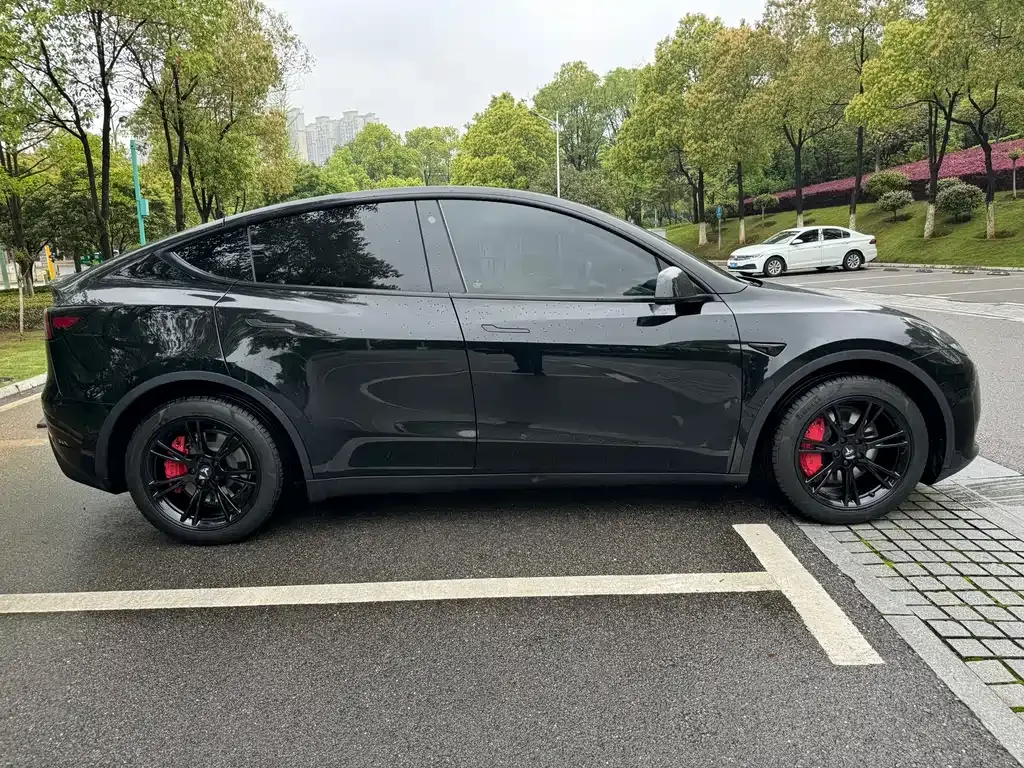 Tesla Model Y 2023 из CN, фото 7