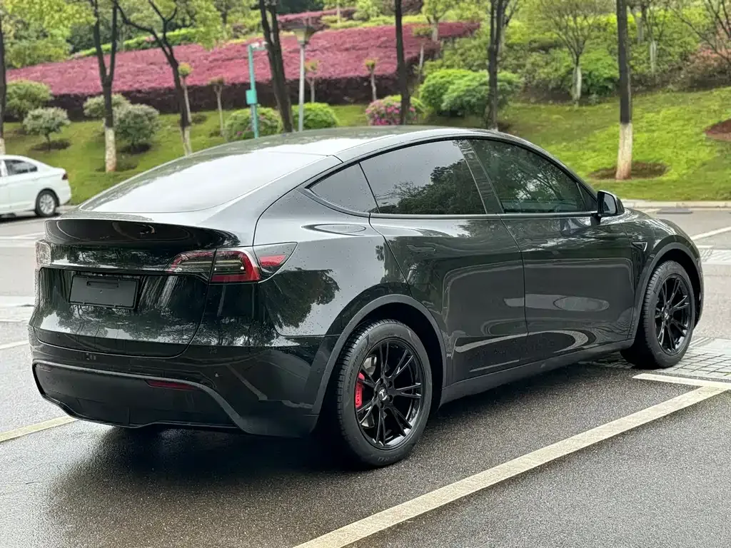 Tesla Model Y 2023 из CN, фото 5