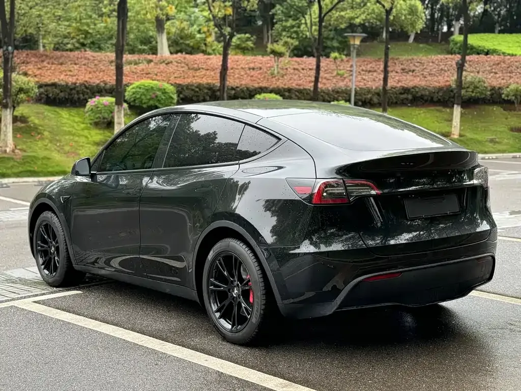 Tesla Model Y 2023 из CN, фото 8