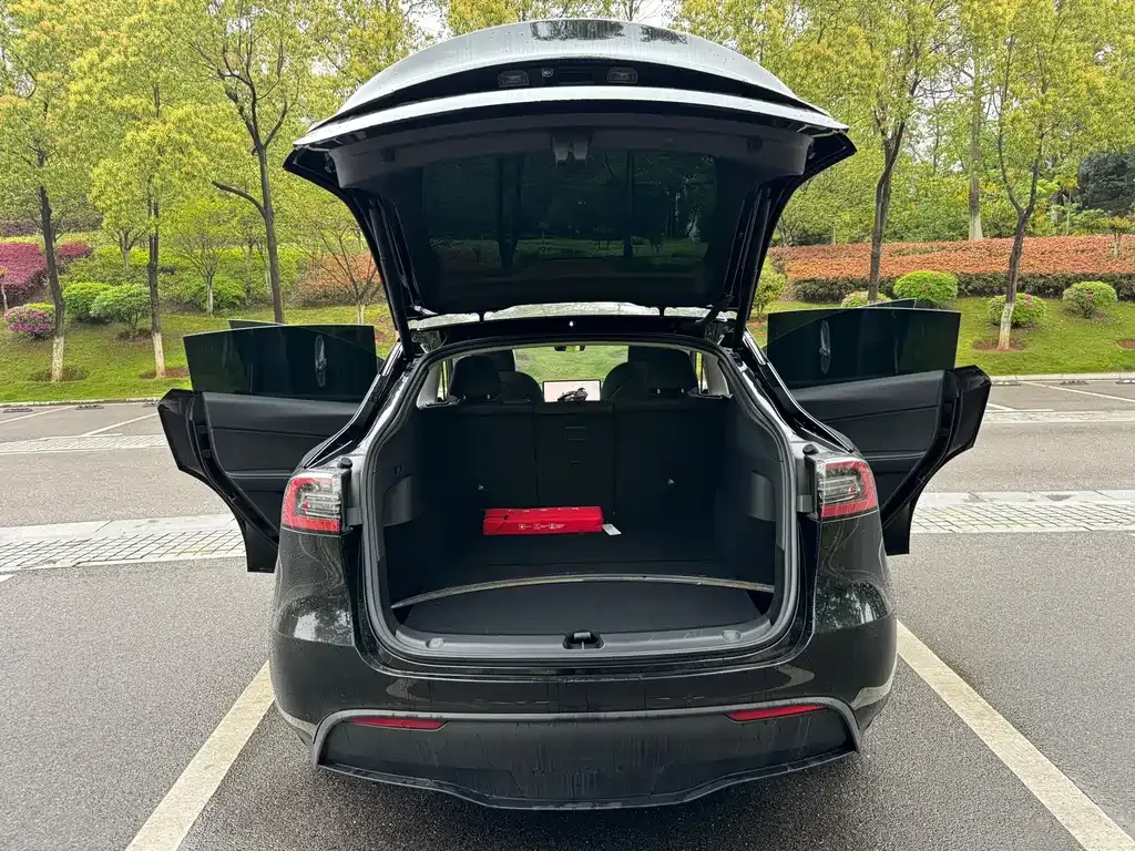 Tesla Model Y 2023 из CN, фото 6