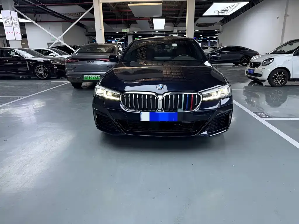 BMW 5 Series 2023 из CN, фото 5