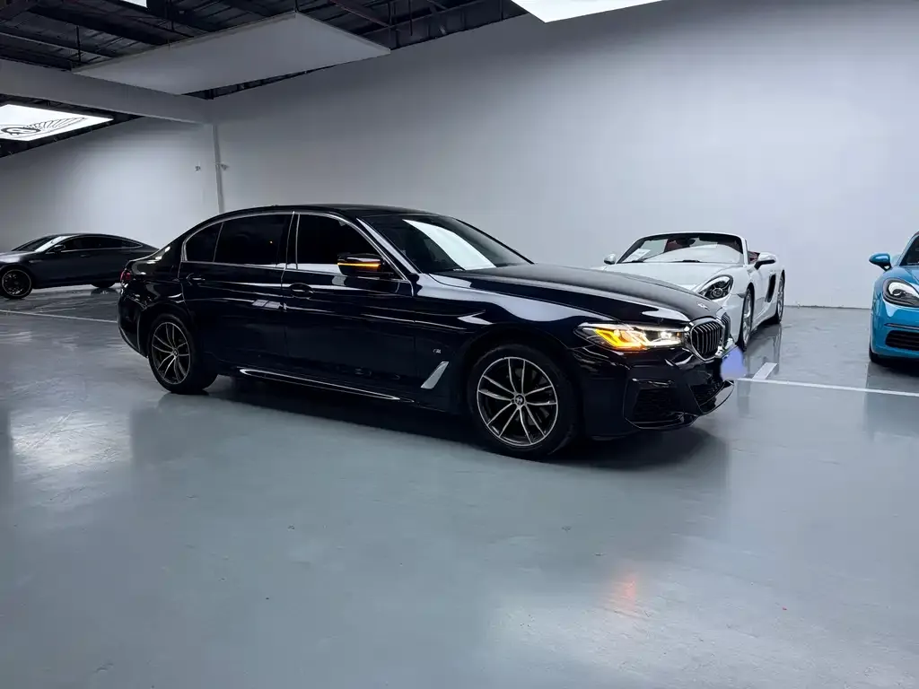 BMW 5 Series 2023 из CN, фото 9