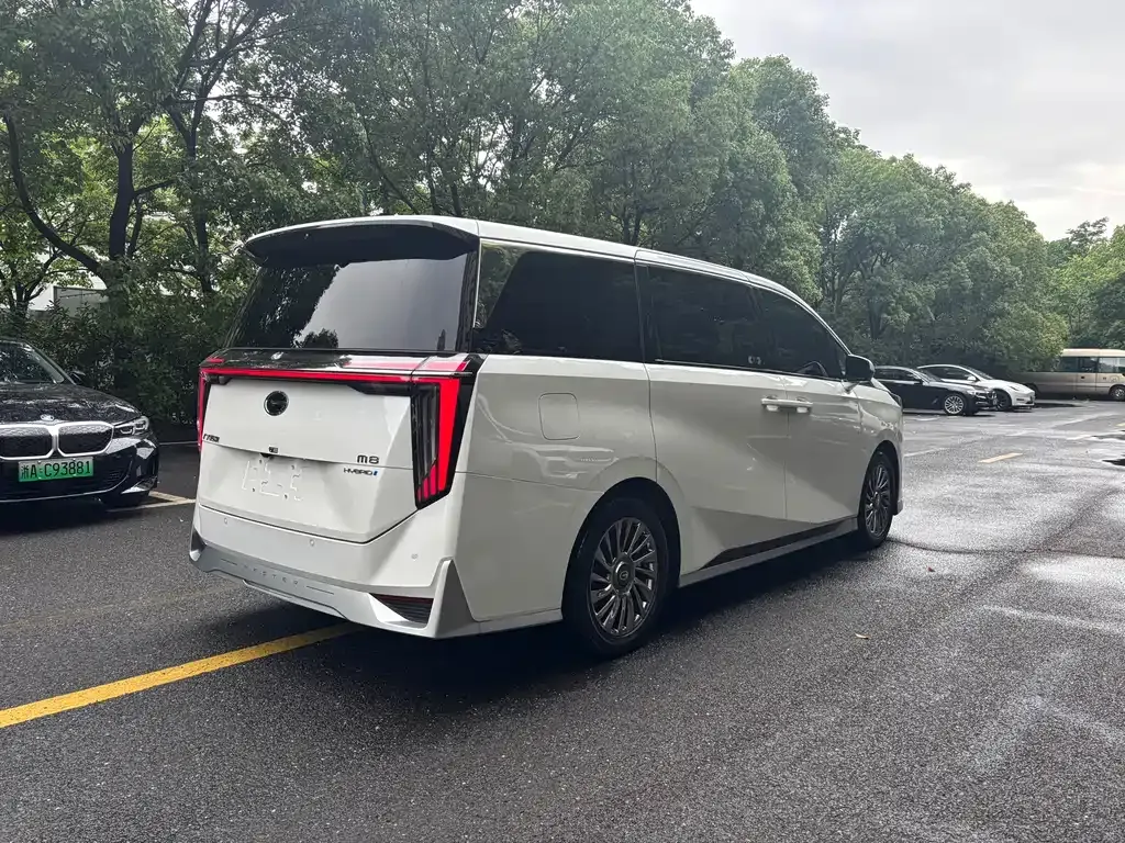 GAC Motor Trumpchi M8 2023 из CN, фото 3
