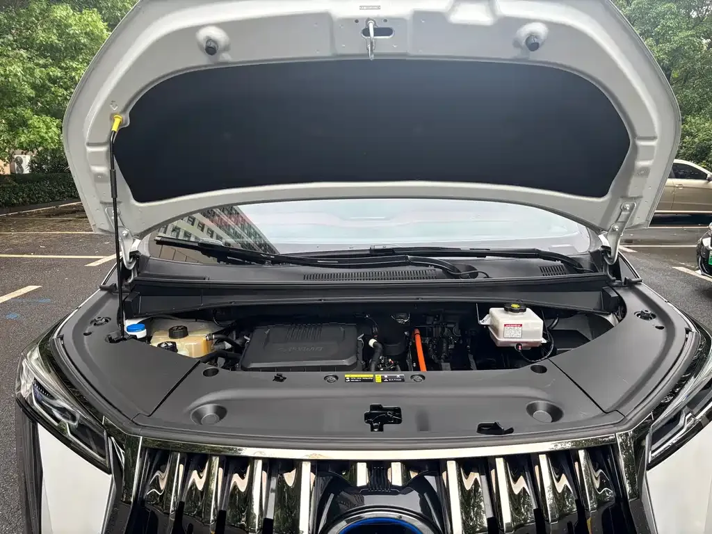 GAC Motor Trumpchi M8 2023 из CN, фото 7
