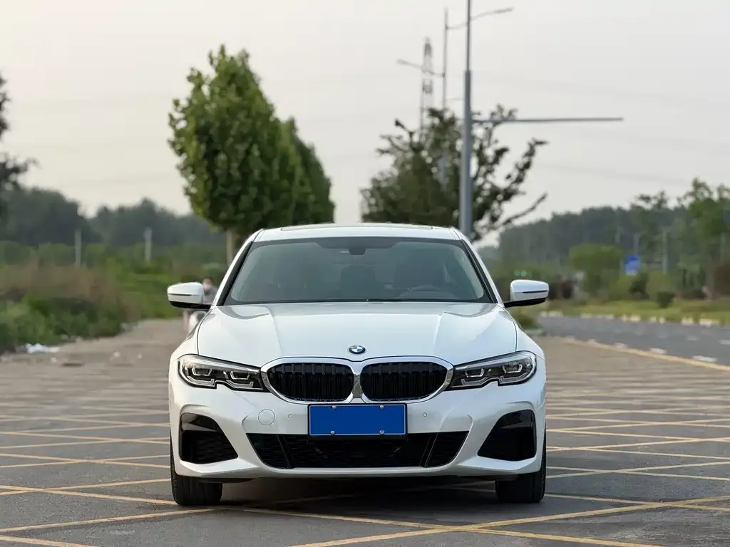 BMW 3 Series 2021 из CN, фото 5