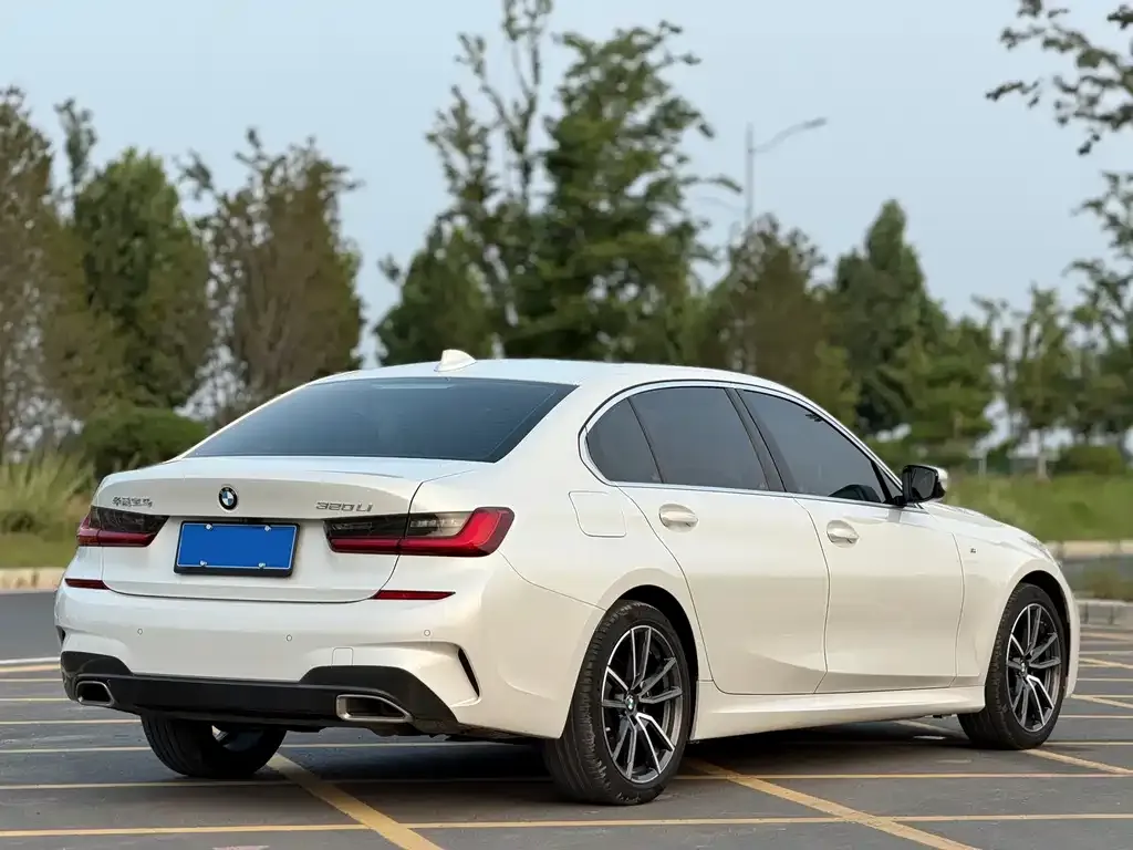 BMW 3 Series 2021 из CN, фото 3