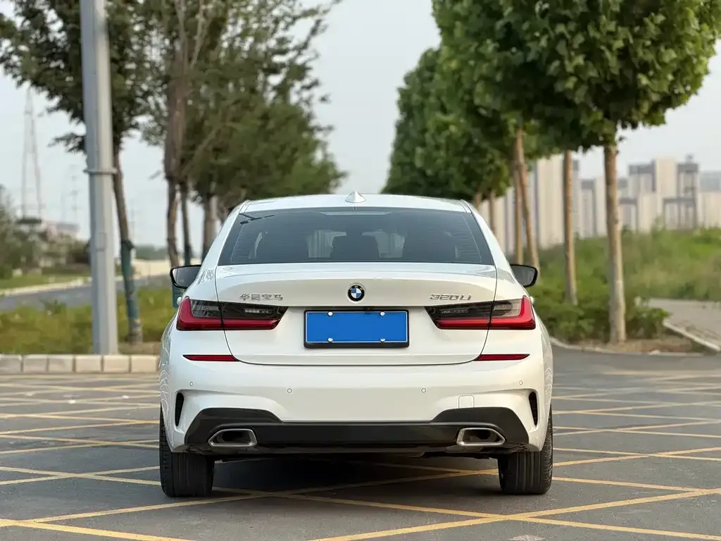 BMW 3 Series 2021 из CN, фото 10