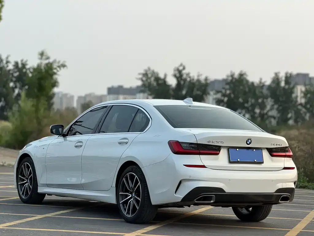 BMW 3 Series 2021 из CN, фото 8