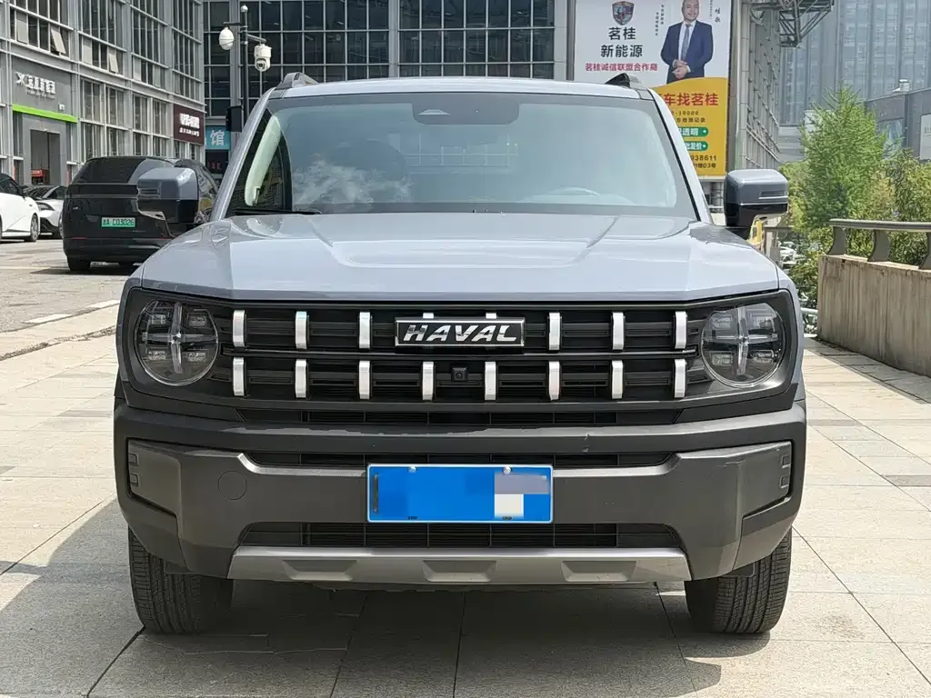 Haval Cool Dog 2023 из CN, фото 6