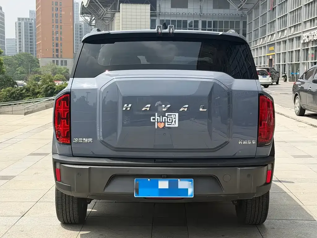 Haval Cool Dog 2023 из CN, фото 4