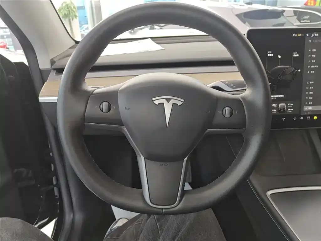Tesla Model Y — фото 8