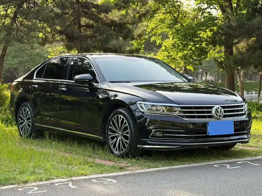 Volkswagen Phideon — фото 8