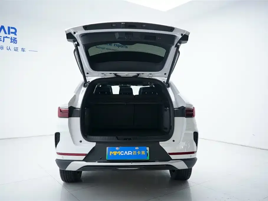 BYD PLUS New Energy 2023 из CN, фото 2