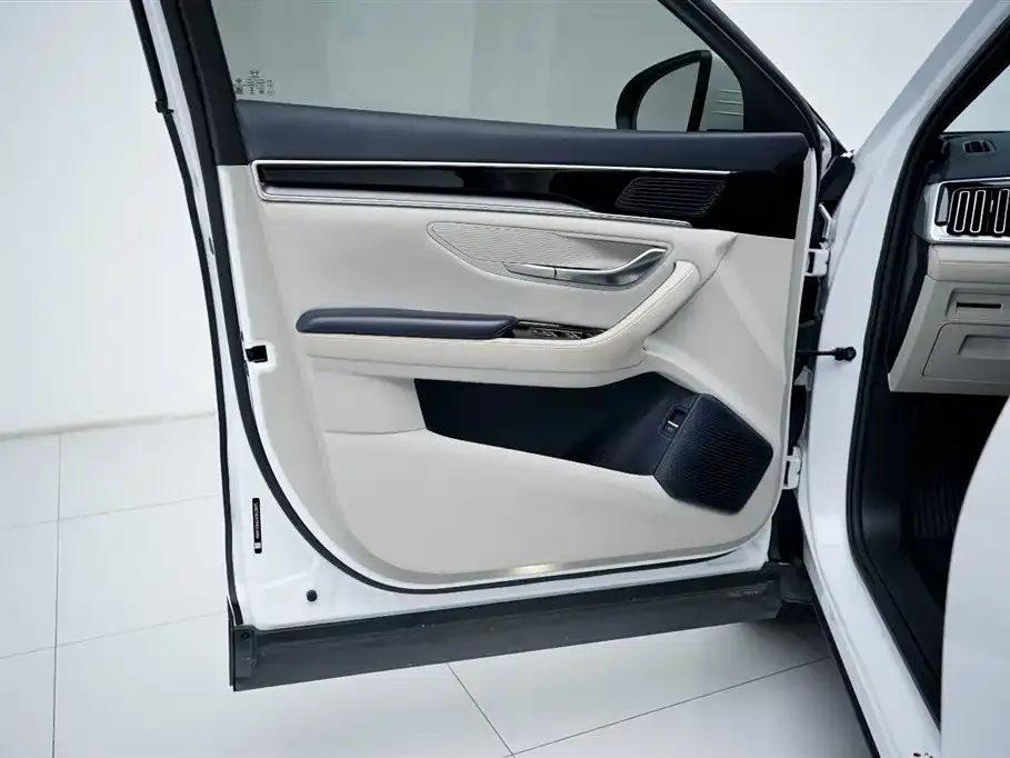 BYD PLUS New Energy 2023 из CN, фото 5