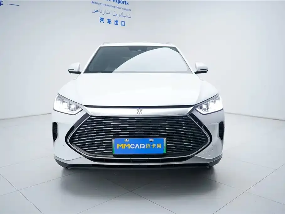 BYD PLUS New Energy 2023 из CN, фото 6