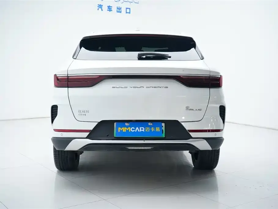 BYD PLUS New Energy 2023 из CN, фото 4
