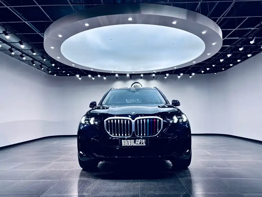 BMW X5 — фото 10