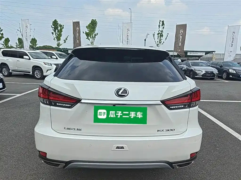 Lexus RX — фото 9