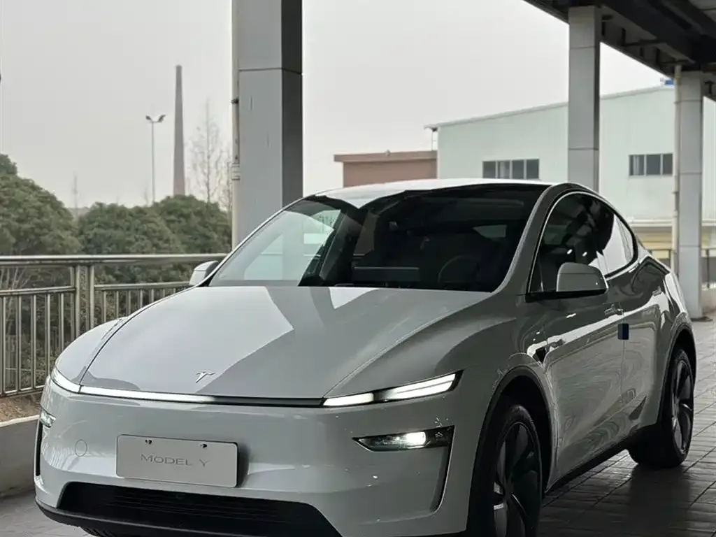 Tesla Model Y — фото 1