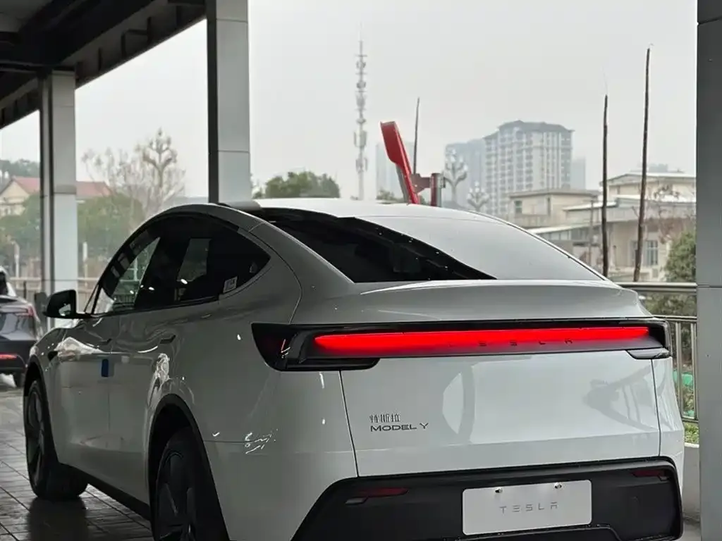 Tesla Model Y — фото 5