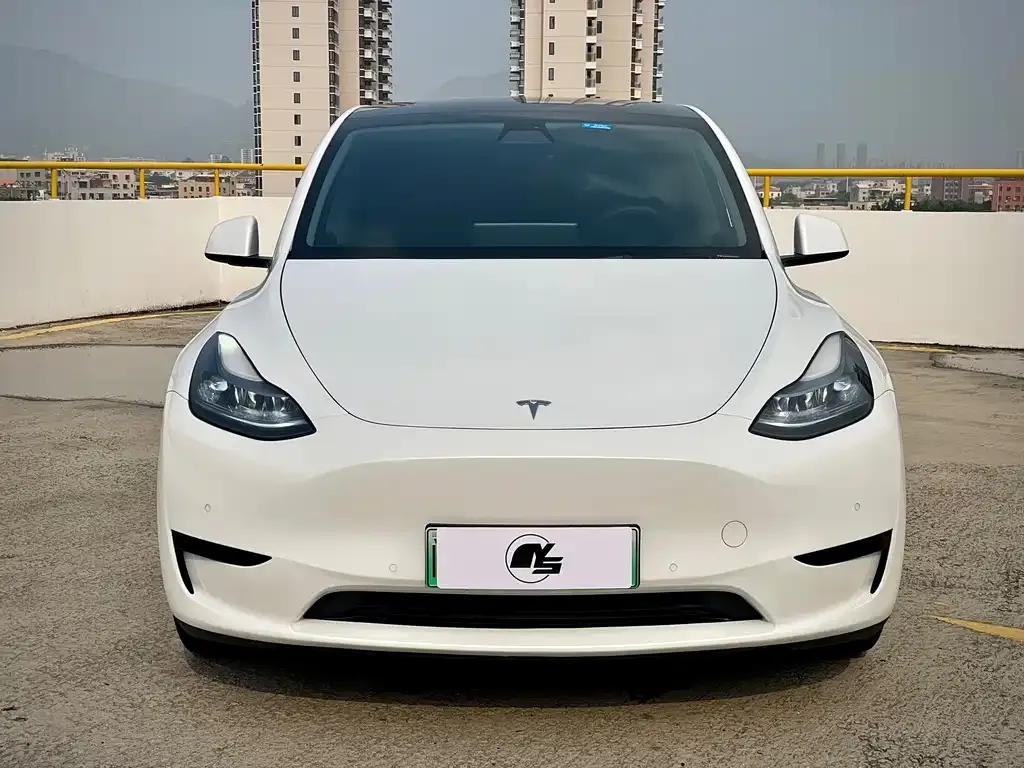 Tesla Model Y — фото 7
