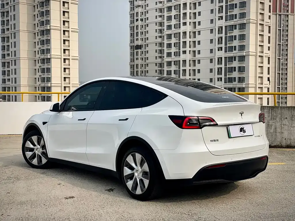 Tesla Model Y — фото 10