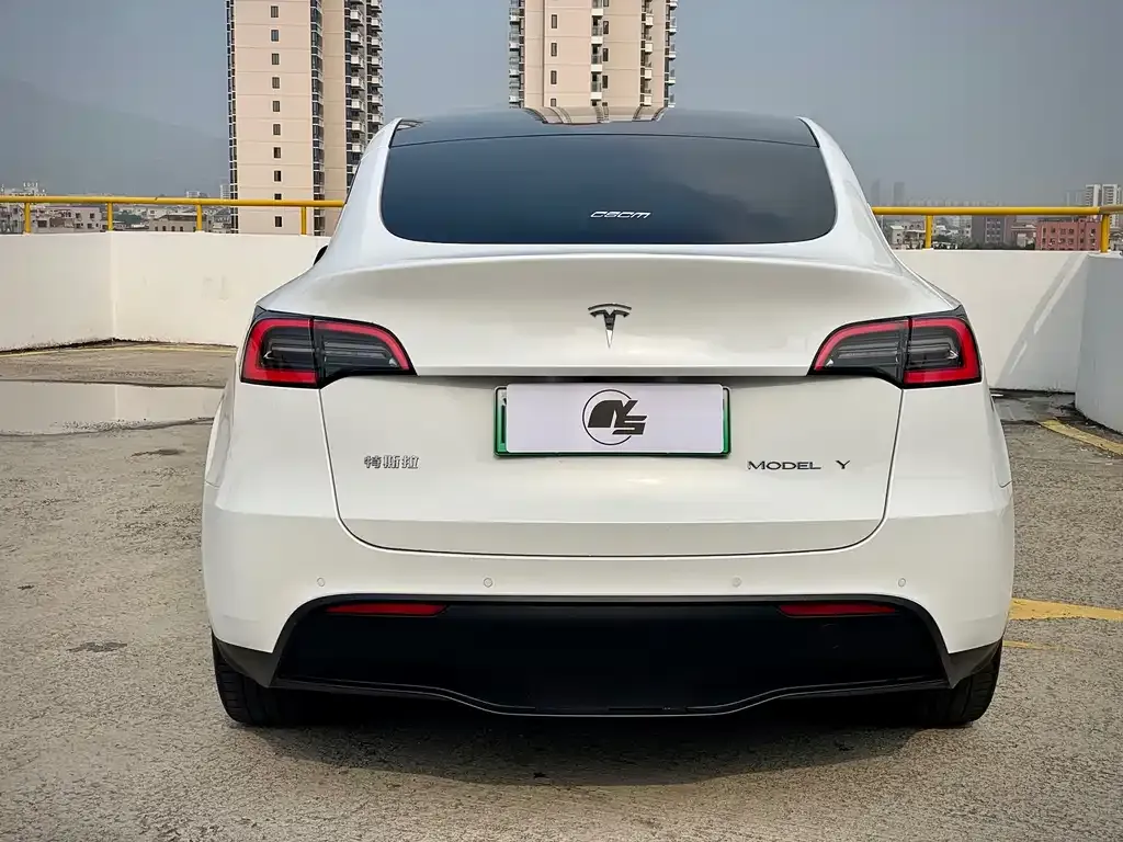 Tesla Model Y — фото 8