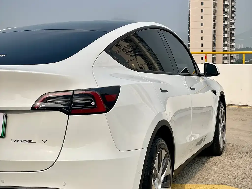 Tesla Model Y — фото 6