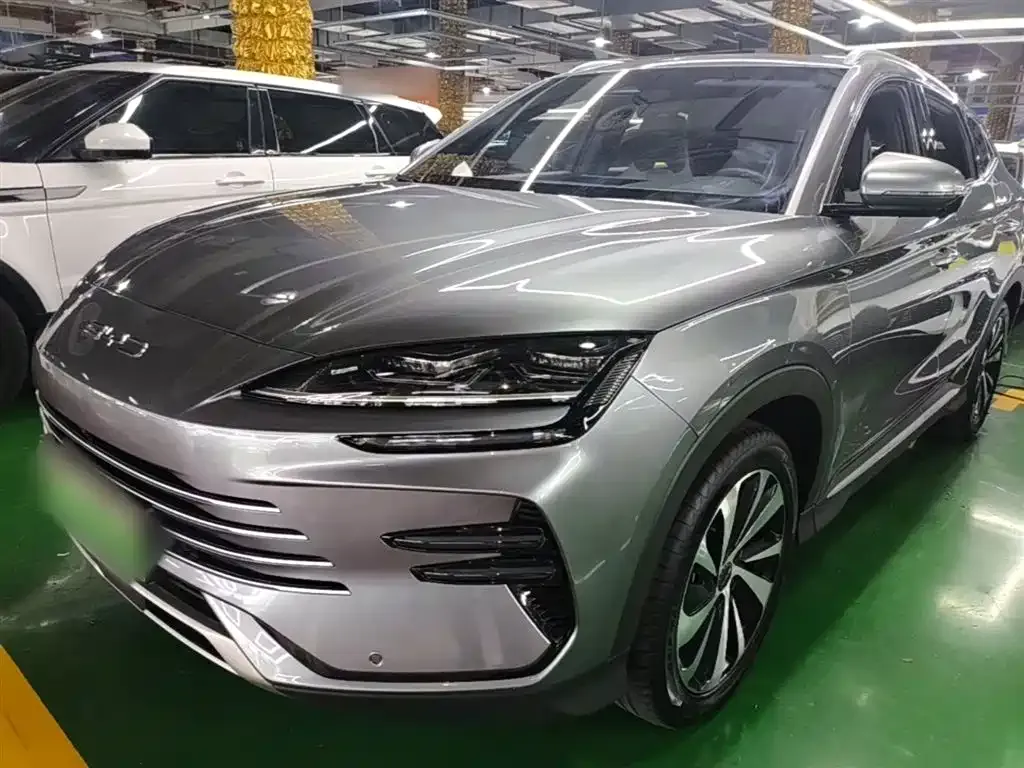 BYD PLUS New Energy 2024 из CN, фото 1