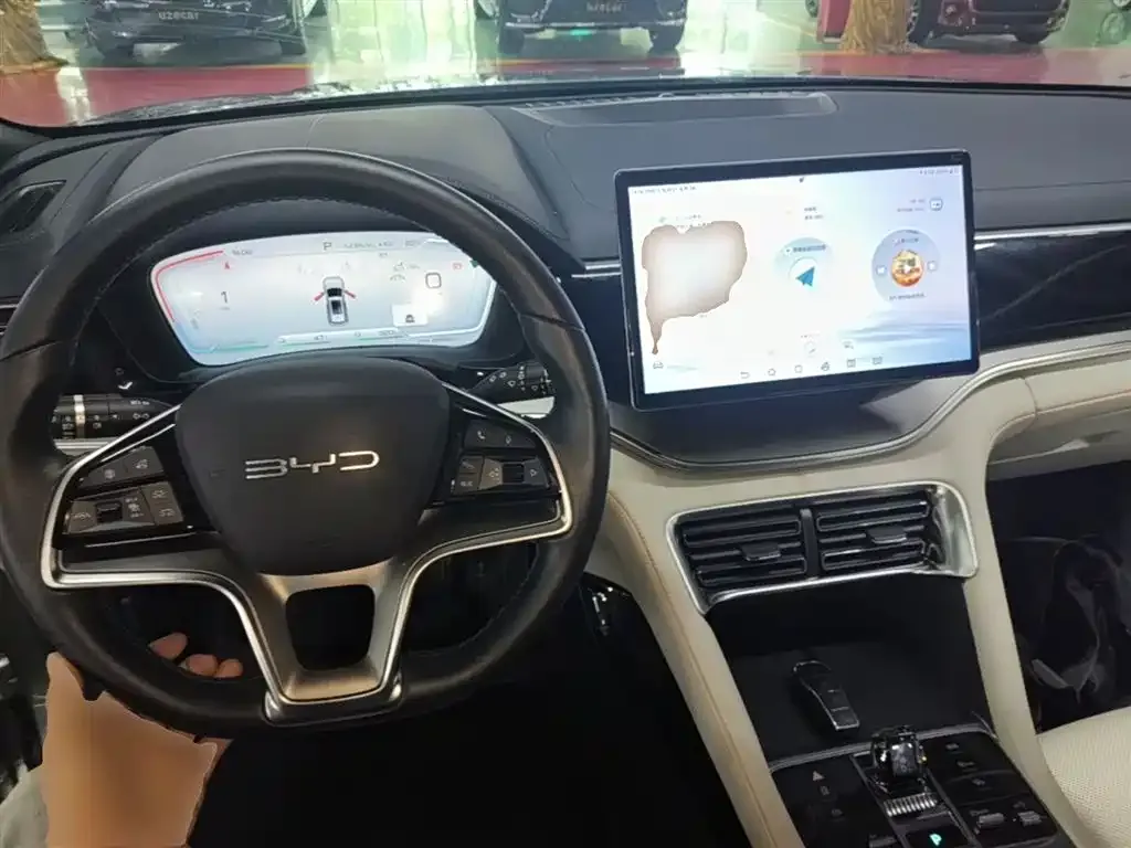 BYD PLUS New Energy 2024 из CN, фото 10