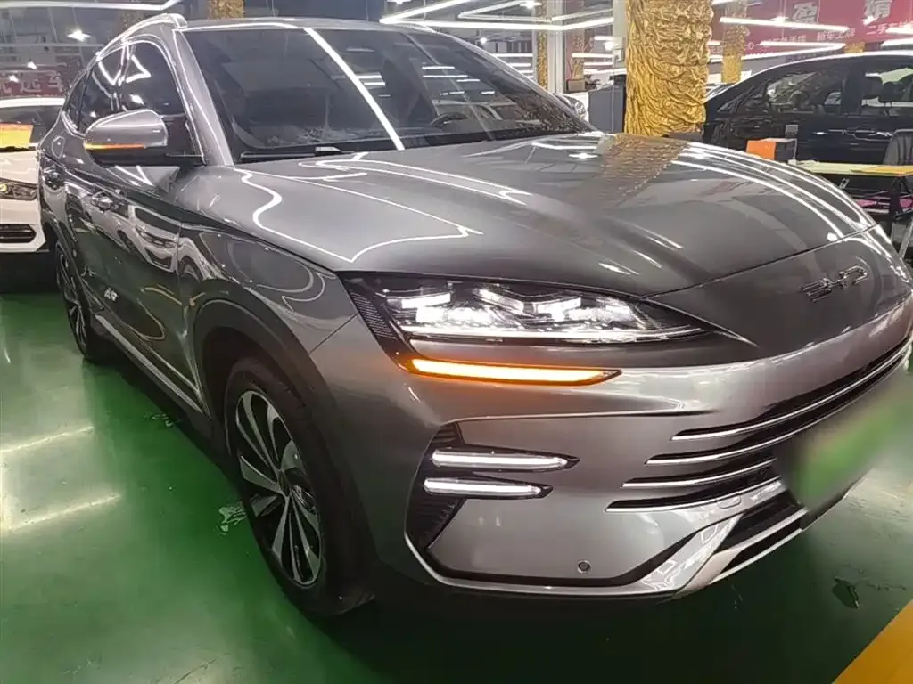 BYD PLUS New Energy 2024 из CN, фото 3