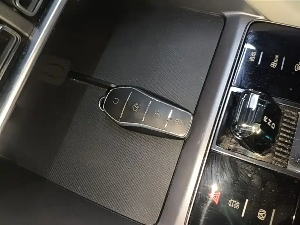 BYD PLUS New Energy 2024 из CN, фото 5