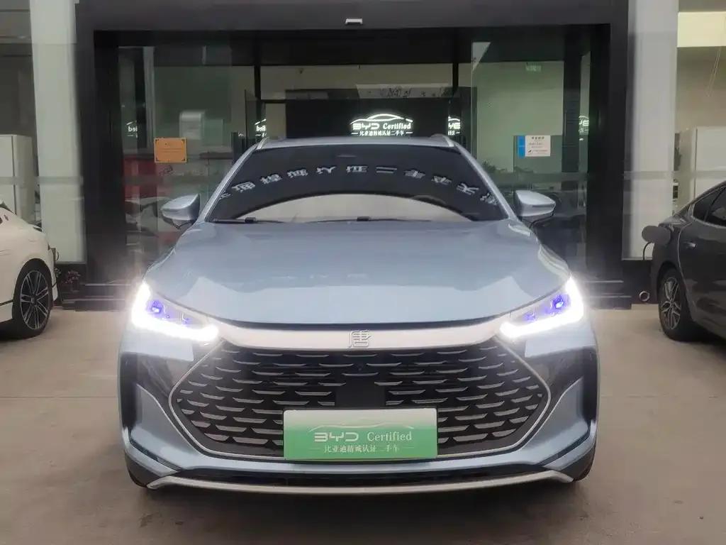 BYD Tang New Energy 2024 из CN, фото 9