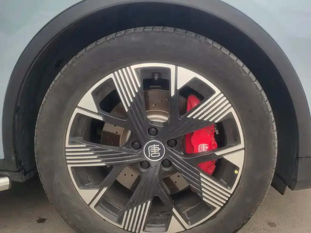 BYD Tang New Energy 2024 из CN, фото 2