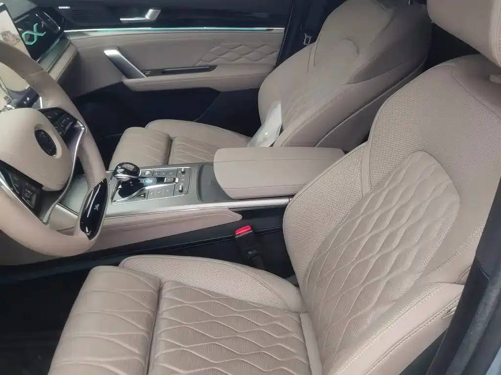 BYD Tang New Energy 2024 из CN, фото 7
