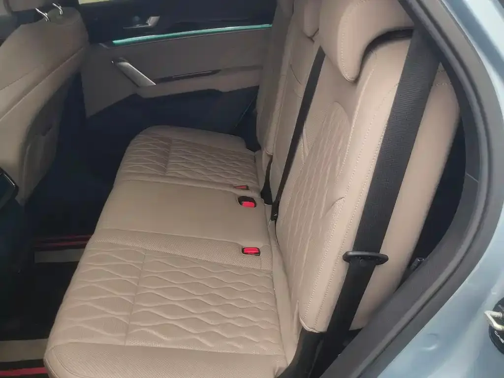 BYD Tang New Energy 2024 из CN, фото 10
