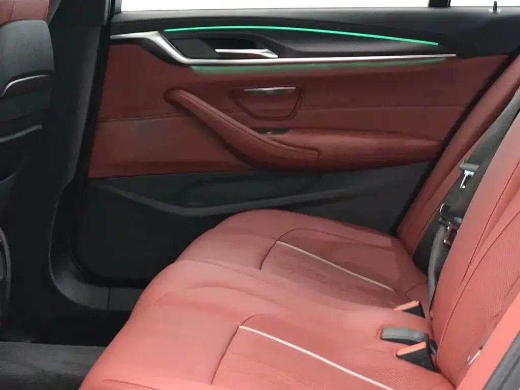 BMW 5 Series 2021 из CN, фото 9
