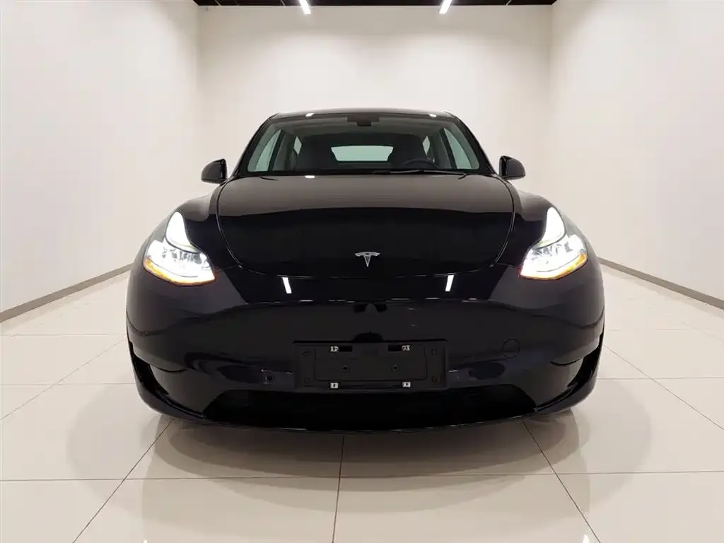 Tesla Model Y 2023 из CN, фото 2