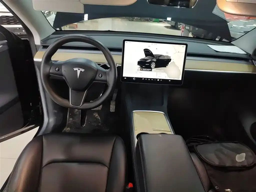 Tesla Model Y 2023 из CN, фото 8